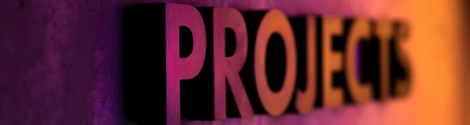 Nicole Scholz Projektmanagement